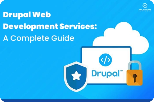Drupal Web Development Services: A Complete Guide